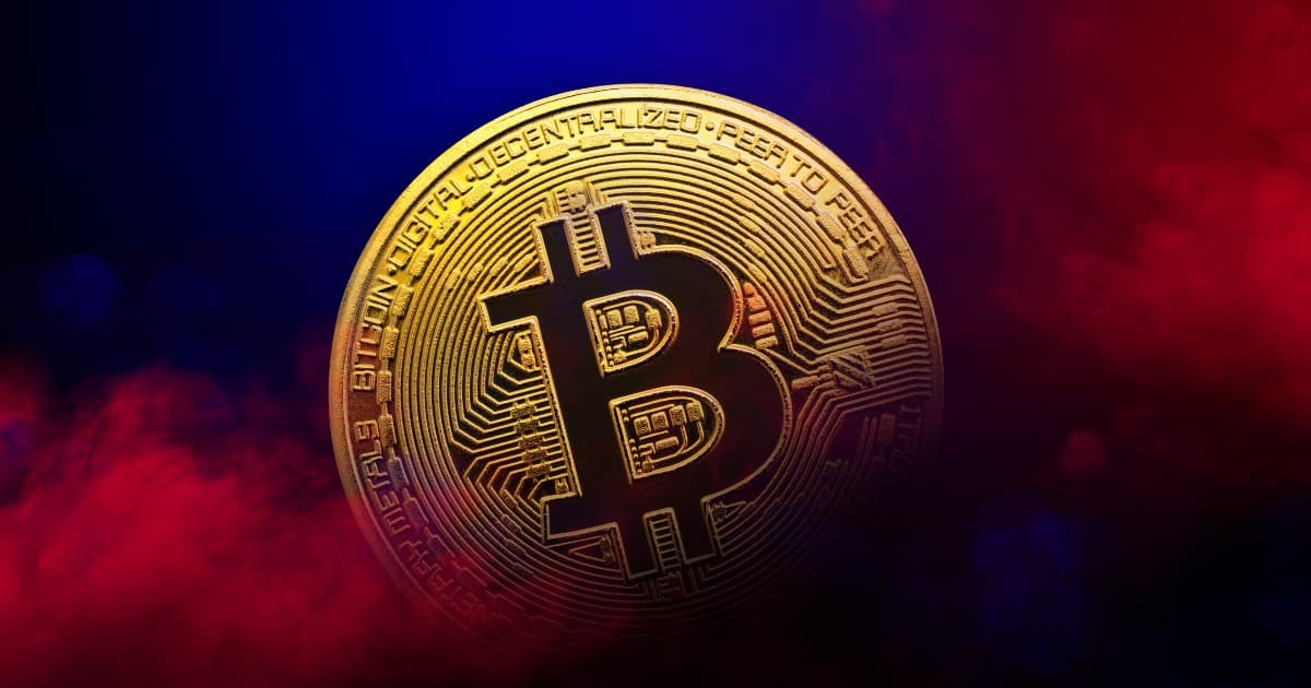 ビットコイン大口保有者の供給量、1680万BTC超で過去最高　小口も押し目買いに転換＝アナリスト