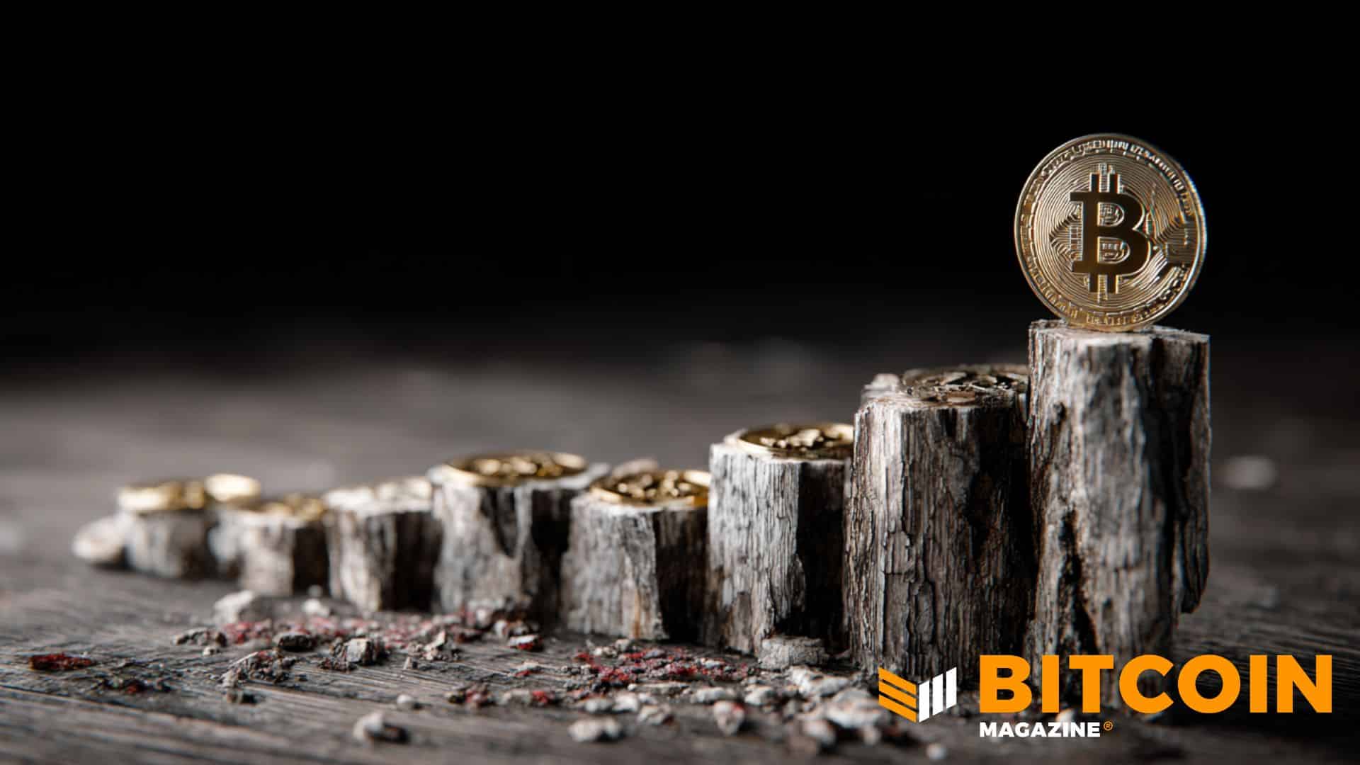 ビットコイン、半減期サイクルの中間地点を通過 2028年に向けて供給が逼迫