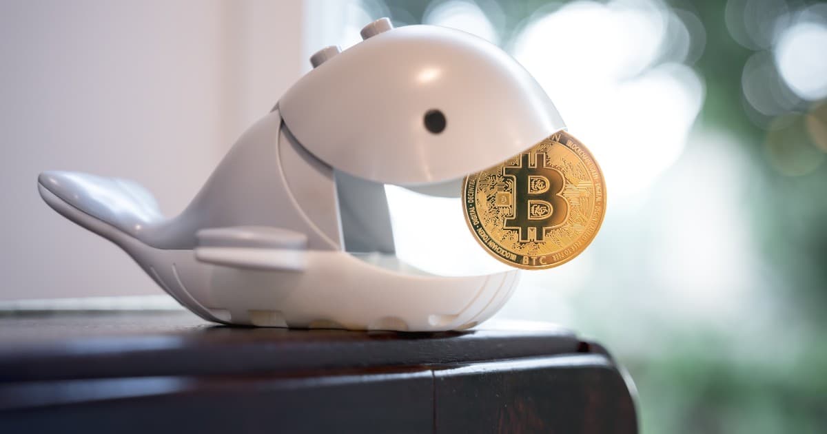 ビットコインクジラのGarrett Jin、再びバイナンスへ5000BTC入金